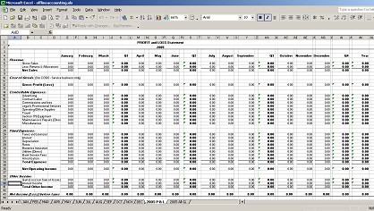 Profit & Loss Statement
